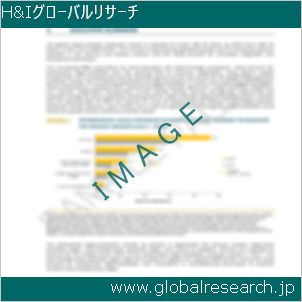 グローバルリサーチ調査レポートのイメージ